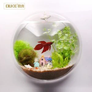 Maxsus 2018 Clear Wall-ga o'rnatilgan akril tank akvarium